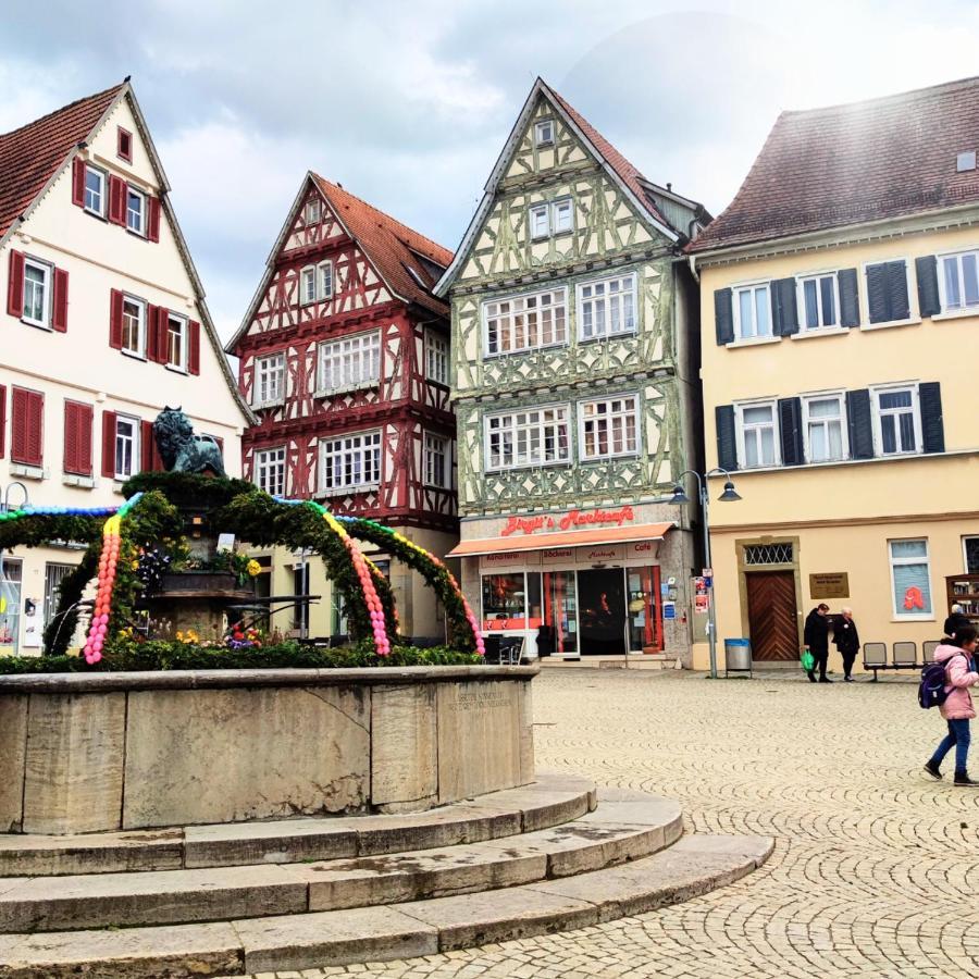 Im Herzen Der Altstadt Vaihingen an der Enz Εξωτερικό φωτογραφία